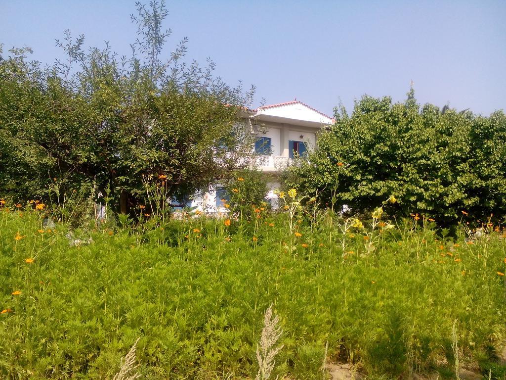 Guesthouse Karidia Skala Eressos Eksteriør billede